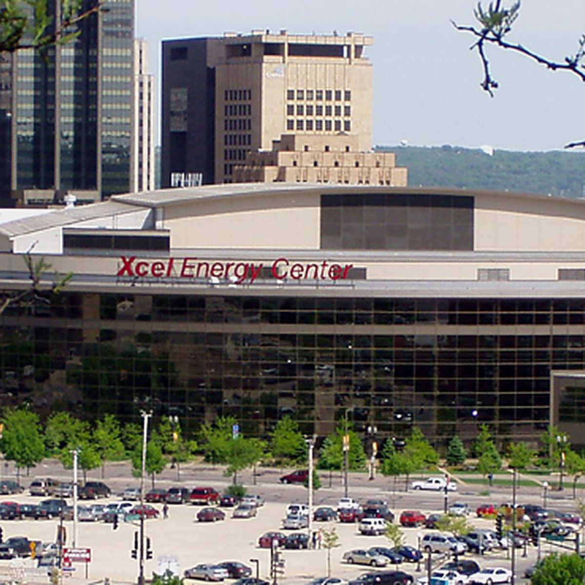 Minnesota Wild