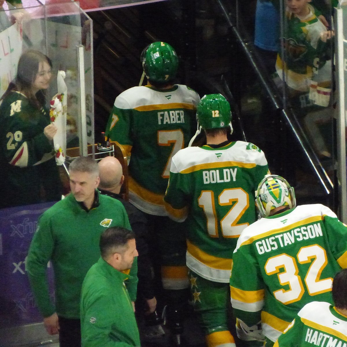 Minnesota Wild